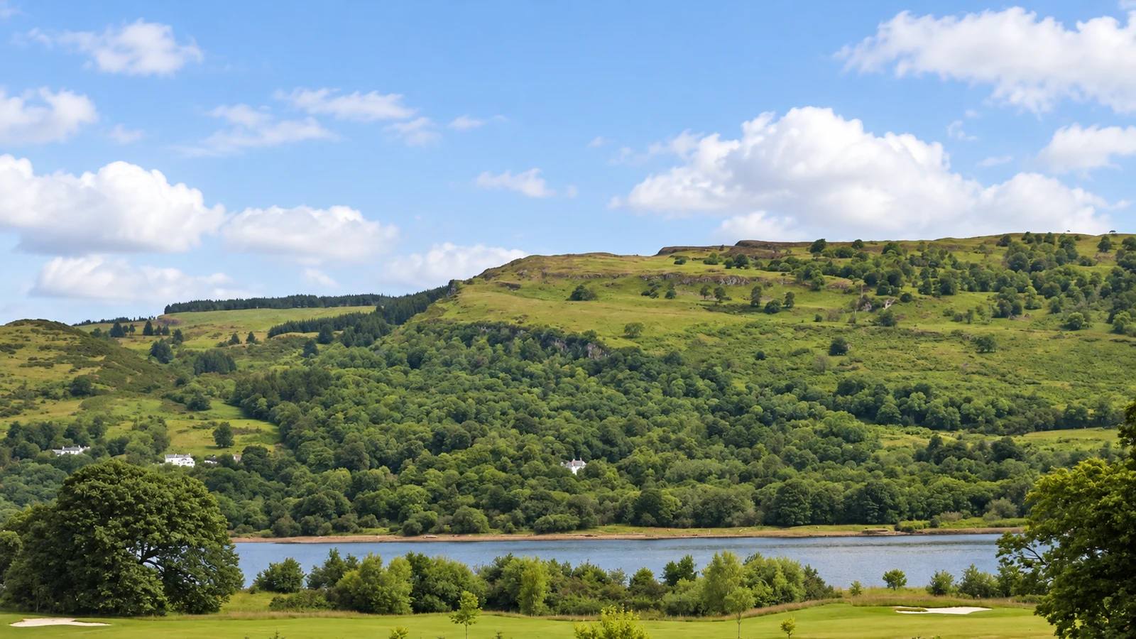 Green slopes of the Kilpatrick Hills rising beyond the water