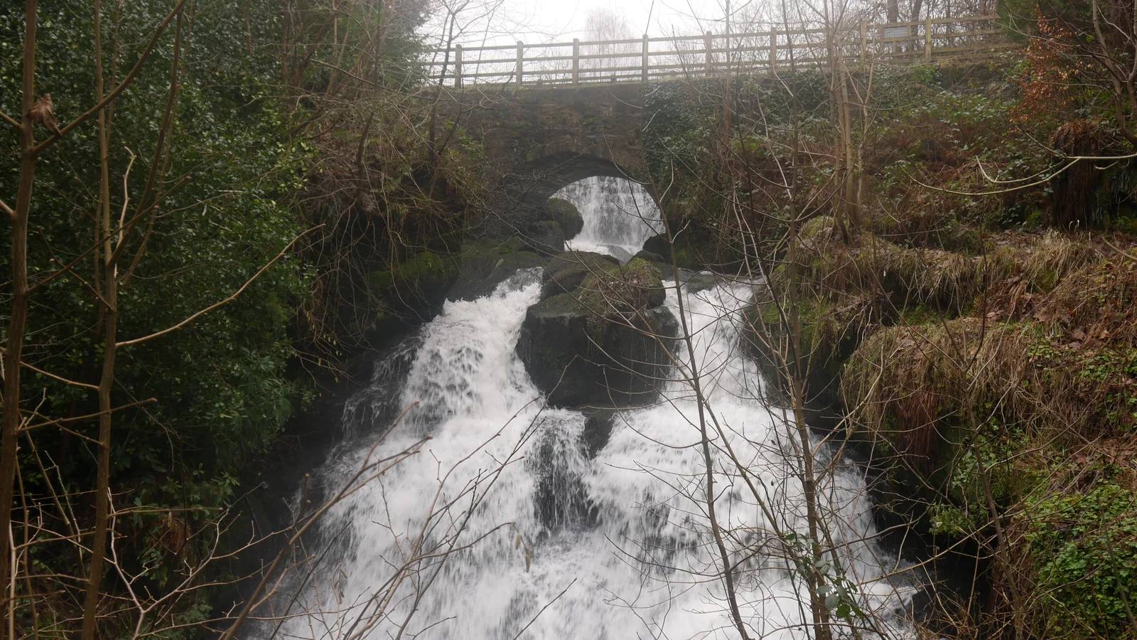 Waterfall tumbling through the wooded glen at Rouken Glen Park