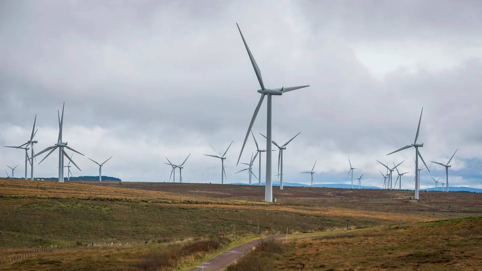 Wind turbines and a broad track across Whitelee moorland