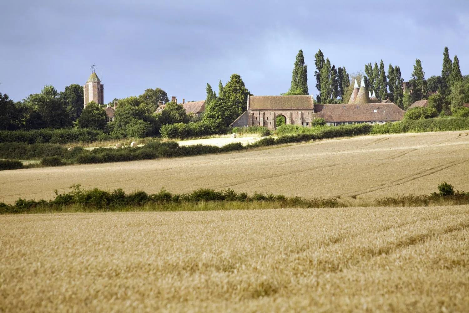 Sissinghurst Castle tower seen across golden estate fields