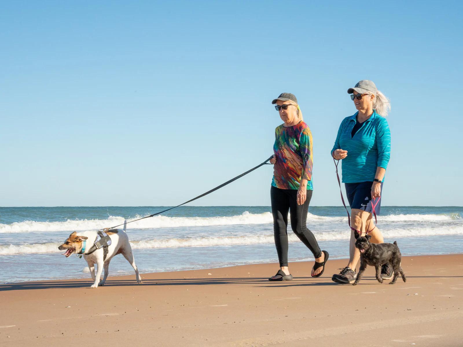 Two people walk dogs beside the surf at Daytona Beach, one verified example in this Florida dog-beach overview.