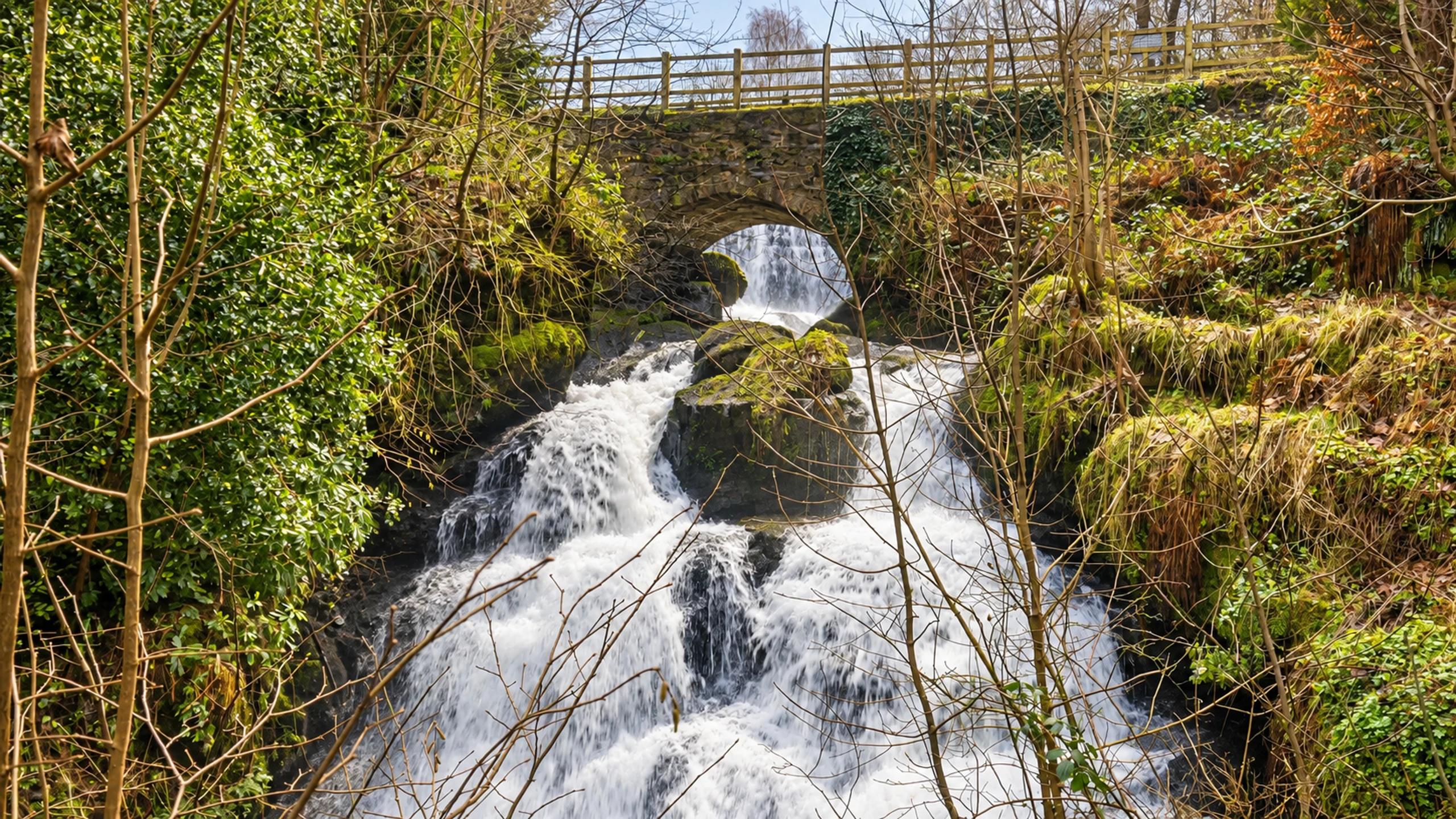 Waterfall tumbling through the wooded glen at Rouken Glen Park