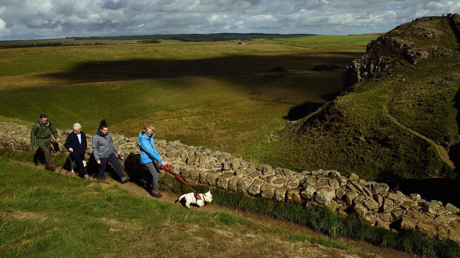 Four walkers and a small white dog following Hadrian's Wall across open grassland