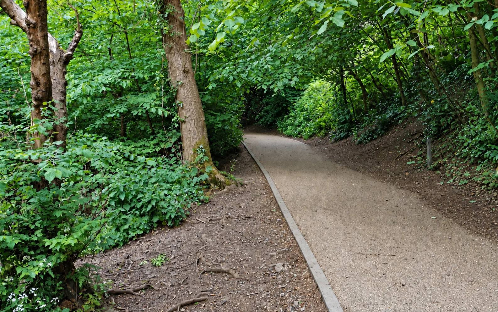 Tree-lined path through the wooded gorge at Blaise Castle Estate