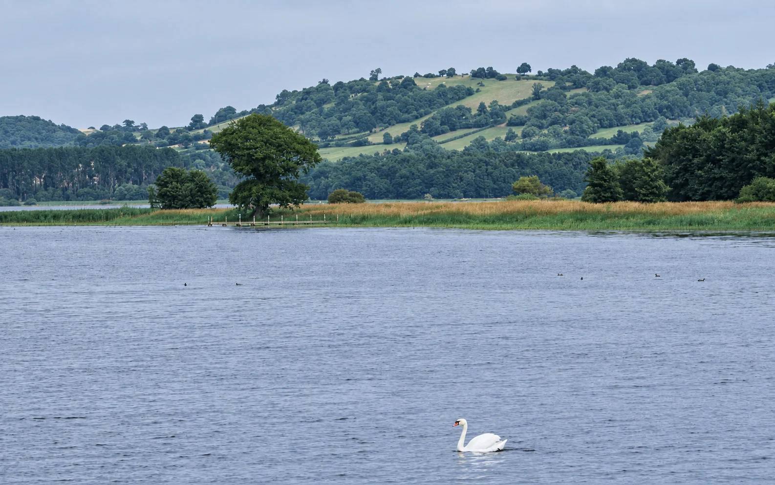 Chew Valley Lake and distant wooded hills, shown as a lake overview