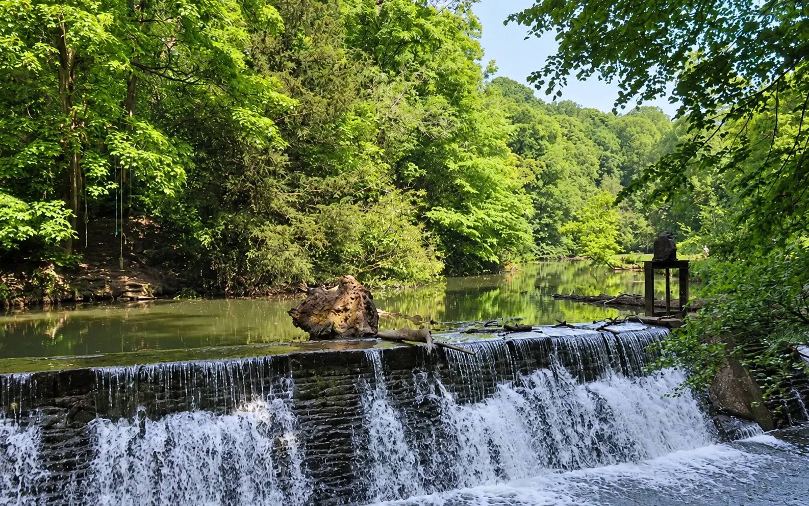 River Frome weir beneath trees at Snuff Mills