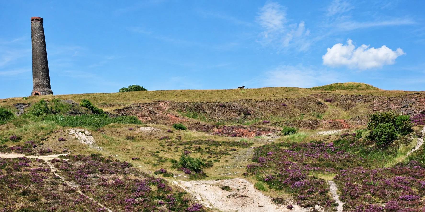 Troopers Hill chimney above paths and flowering heathland