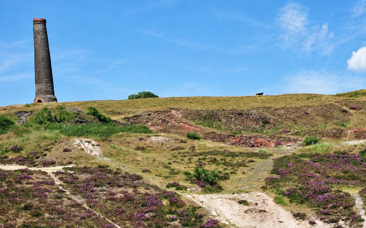 Troopers Hill chimney above paths and flowering heathland