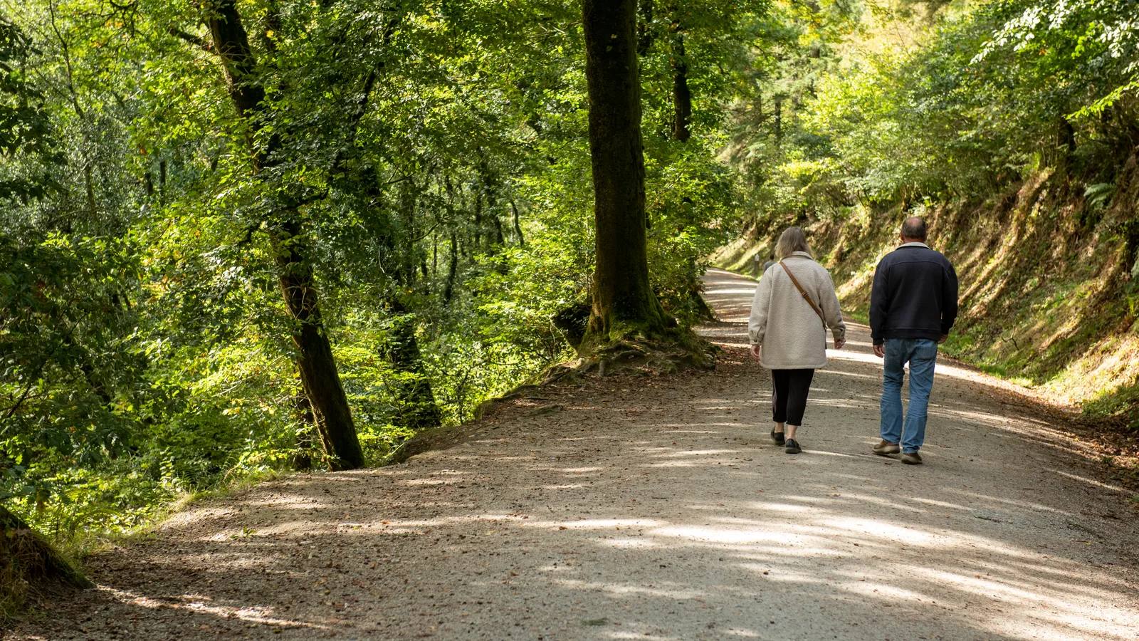Two walkers following a broad woodland trail at Cardinham Woods