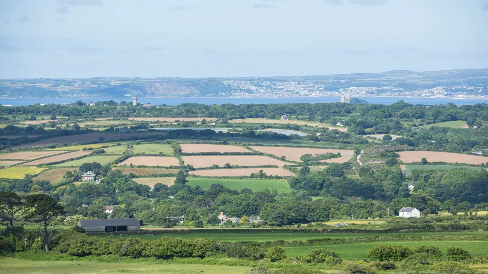 Fields and woodland stretching to the sea from Godolphin Hill