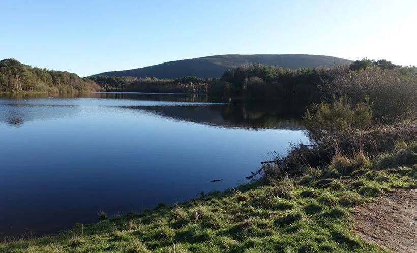 Harlaw Reservoir with wooded shores and Black Hill beyond