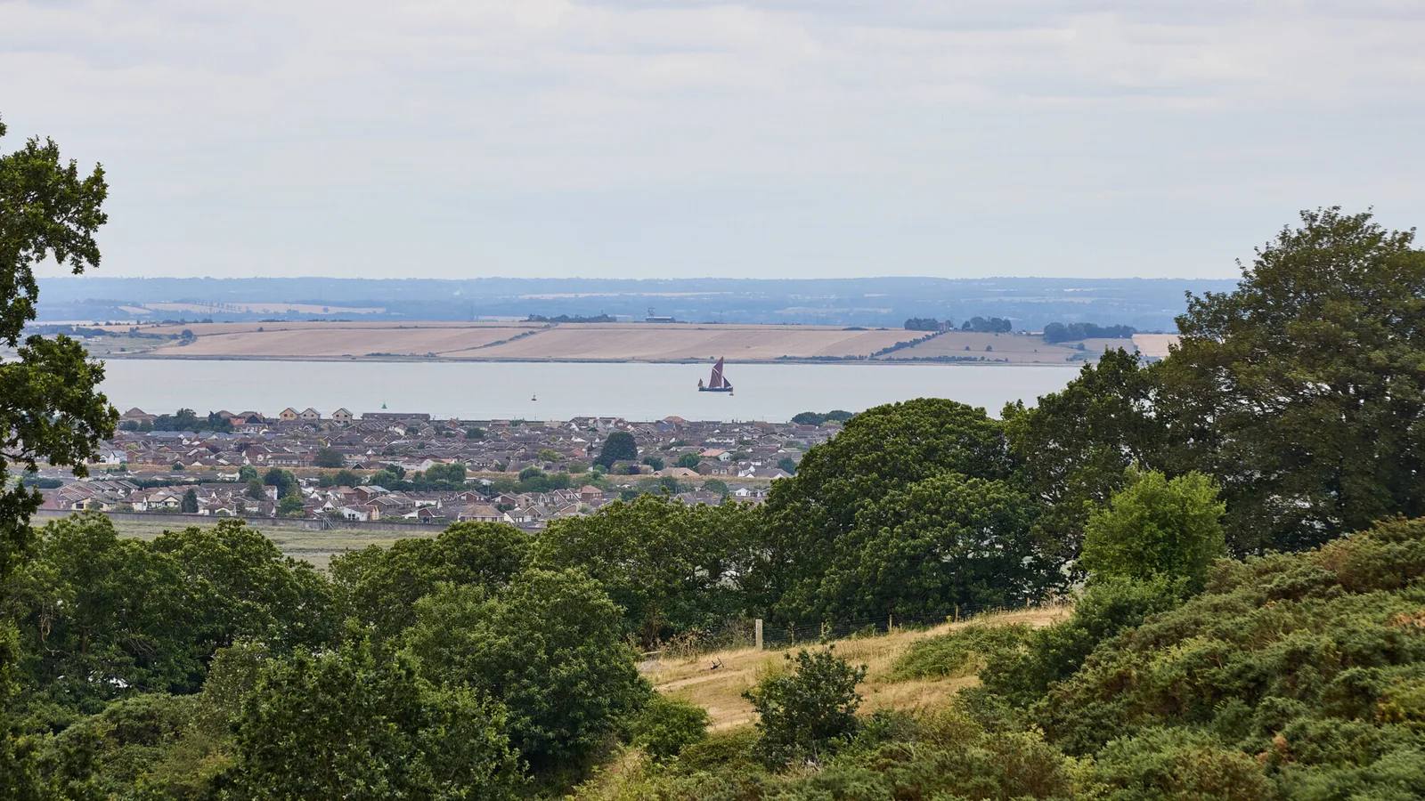 The Thames estuary viewed across trees from Hadleigh Country Park