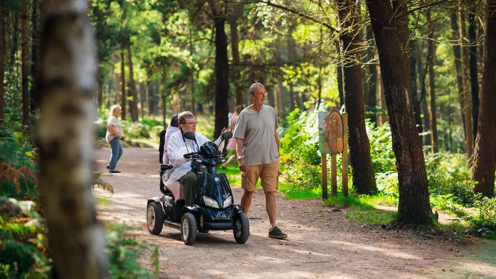 A Tramper user and a walker on a woodland path at Haldon Forest Park