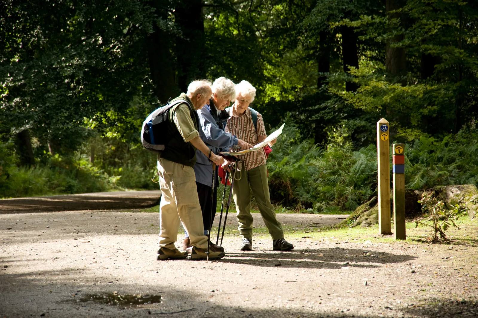 Walkers consulting a map beside coloured waymarkers at Whitefield Moor
