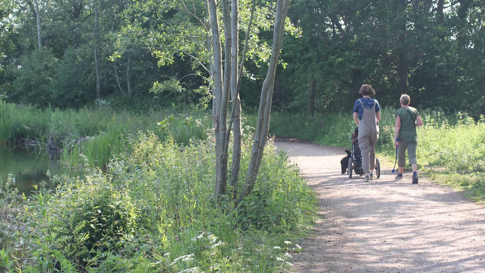 Two visitors with a pushchair and dog on the surfaced Great Broad path at Whitlingham