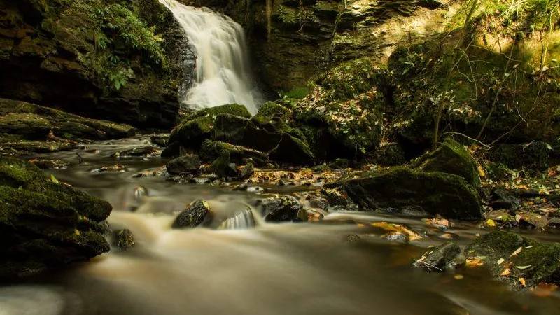 Hareshaw Linn waterfall and stream flowing through a mossy wooded gorge