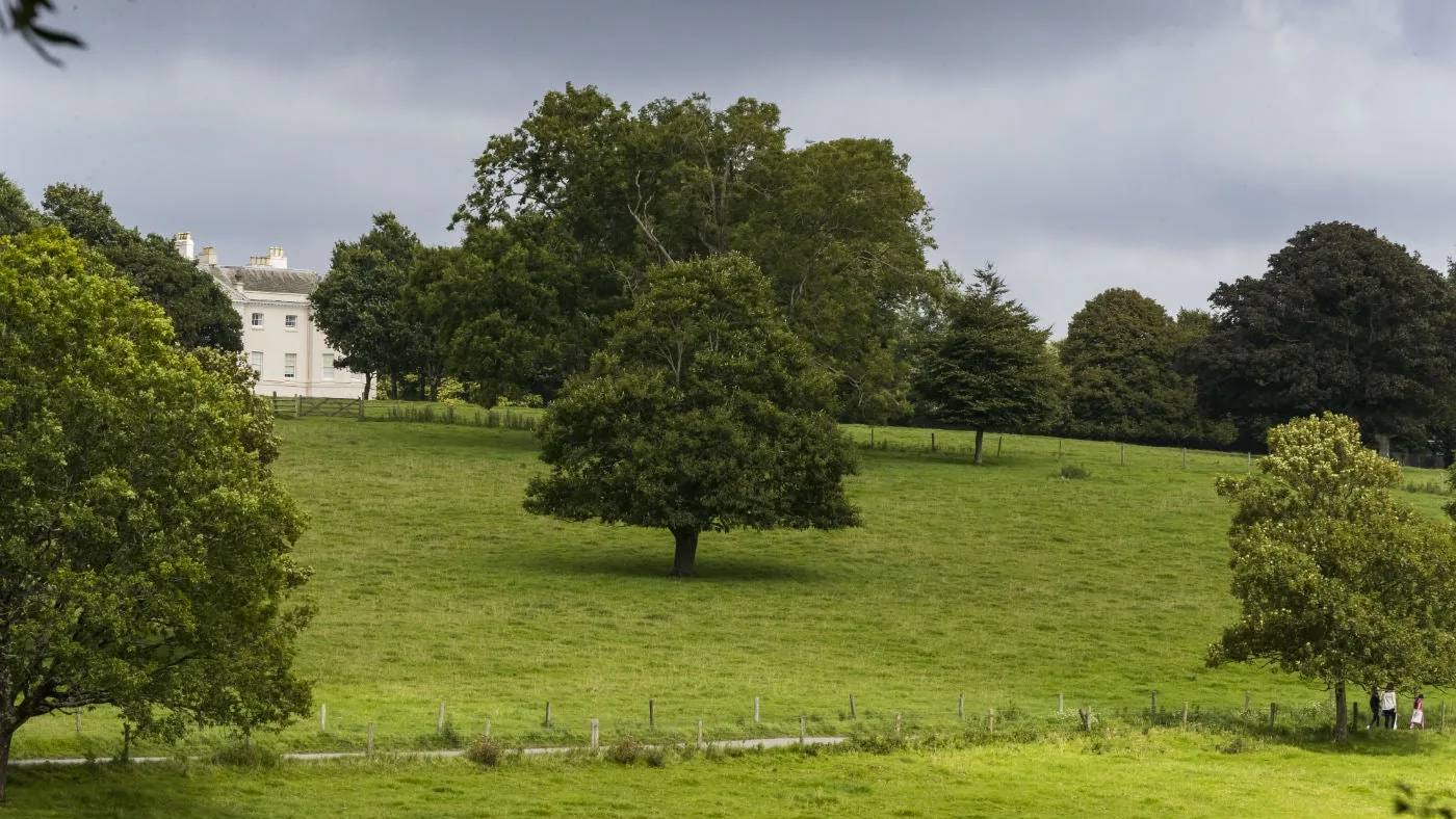 Saltram House seen across rolling green parkland and mature trees