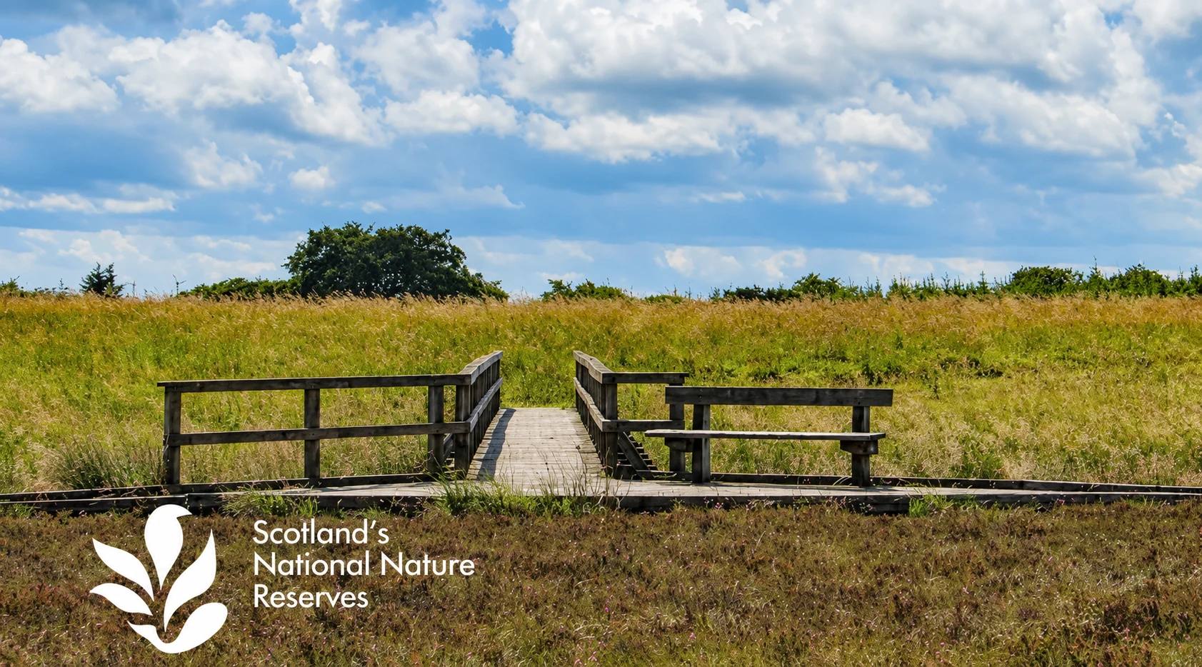 Wooden boardwalk crossing the open raised bog at Blawhorn Moss
