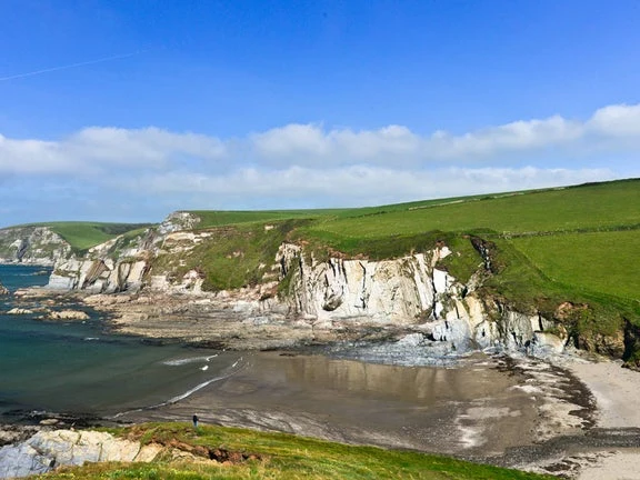 Ayrmer Cove and its pale cliffs below green fields