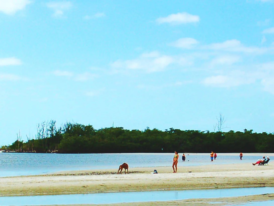 The wide sandbar, shallow water and distant beachgoers at Lee County Dog Beach in Bonita Springs.