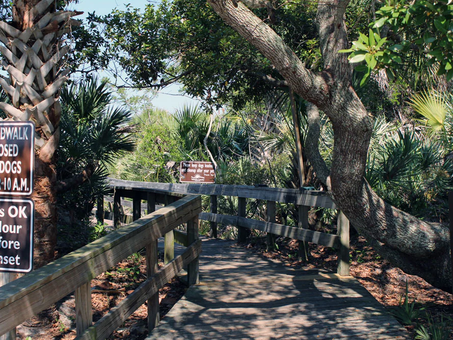 A shaded boardwalk and posted dog rules at Smyrna Dunes Park.