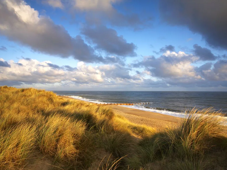 Dunes and beach at Horsey Gap