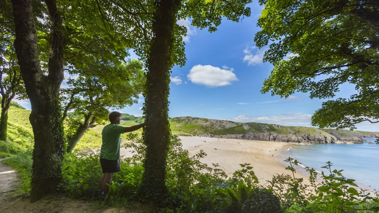 A visitor on the wooded path above Barafundle Bay