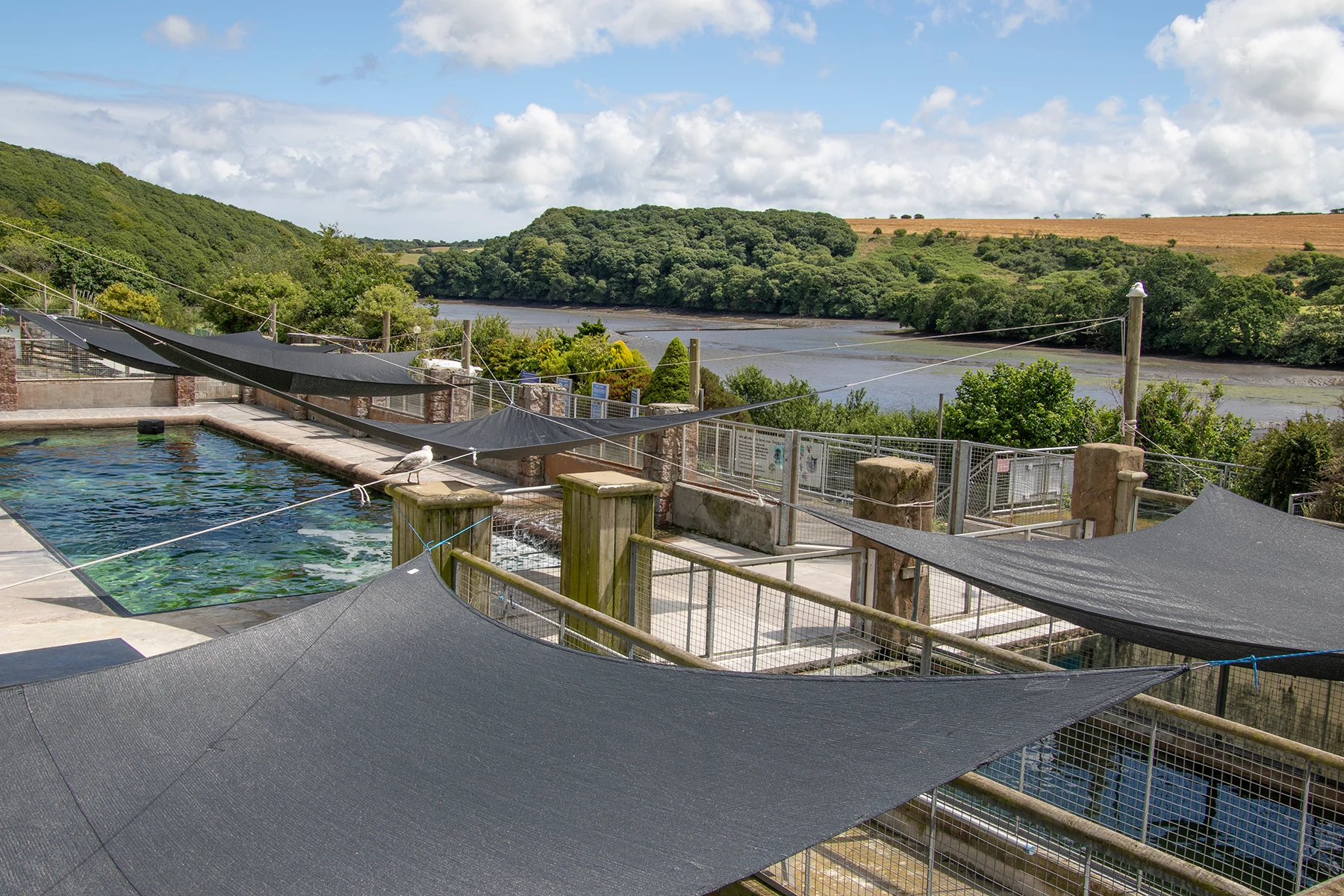 Sanctuary pools and viewing paths overlooking the wooded Helford River