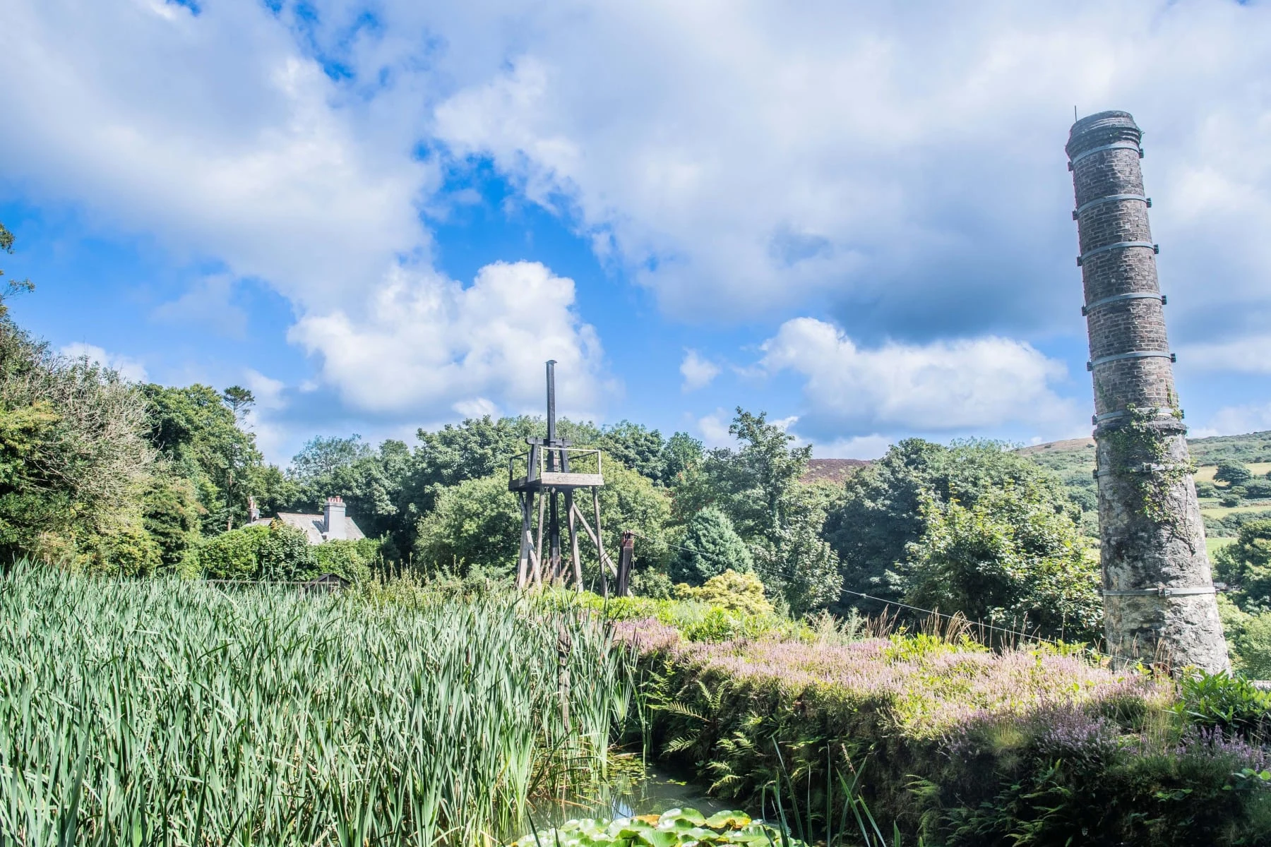 A lily pond and green planting below the historic chimney at Wheal Martyn