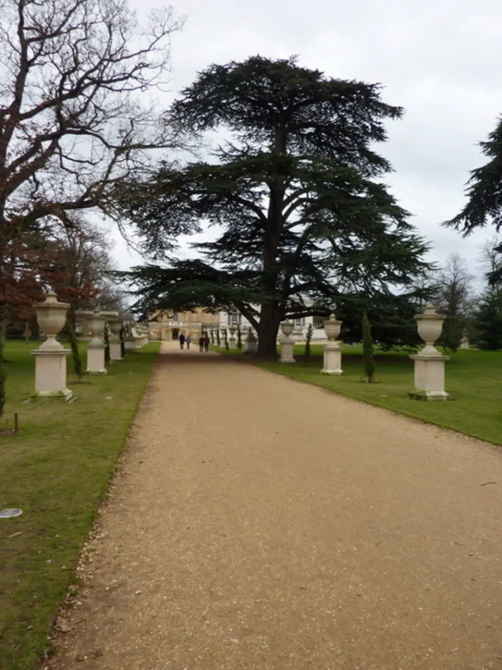 A tree-lined path through Chiswick House Gardens
