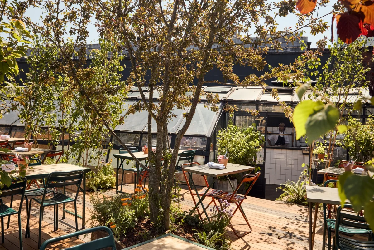 Sunny tables among trees and planting on The Culpeper rooftop in Spitalfields