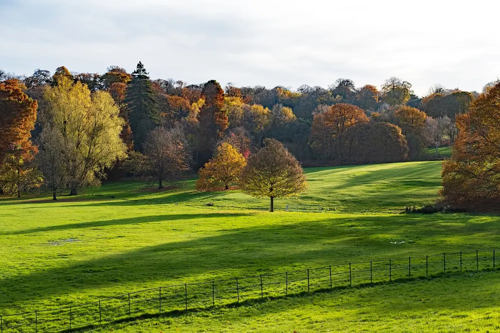 Hampstead Heath viewed from Kenwood House
