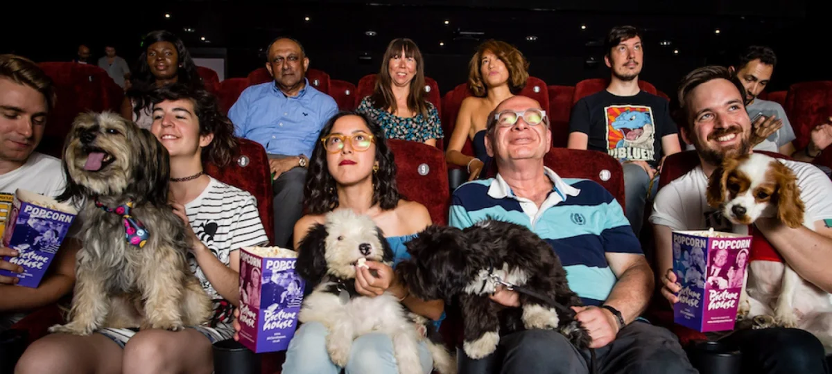 People enjoying a Picturehouse dog-friendly screening with their dogs