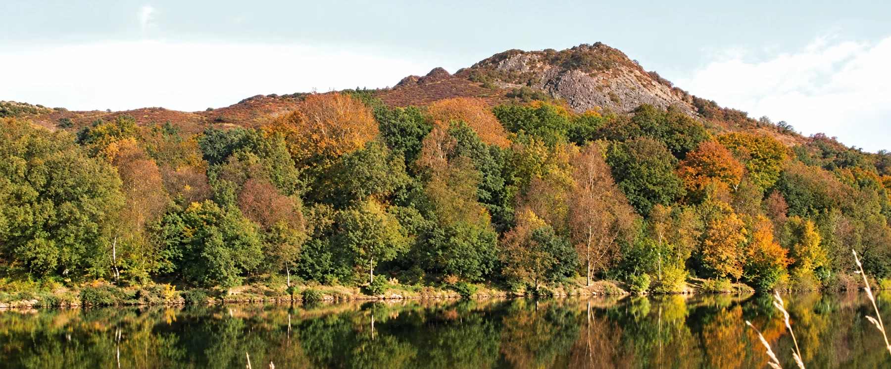 Tegg's Nose hill rising above woodland and the reservoir in autumn