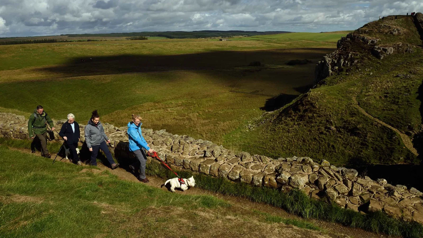 Four walkers and a small white dog following Hadrian's Wall across open grassland