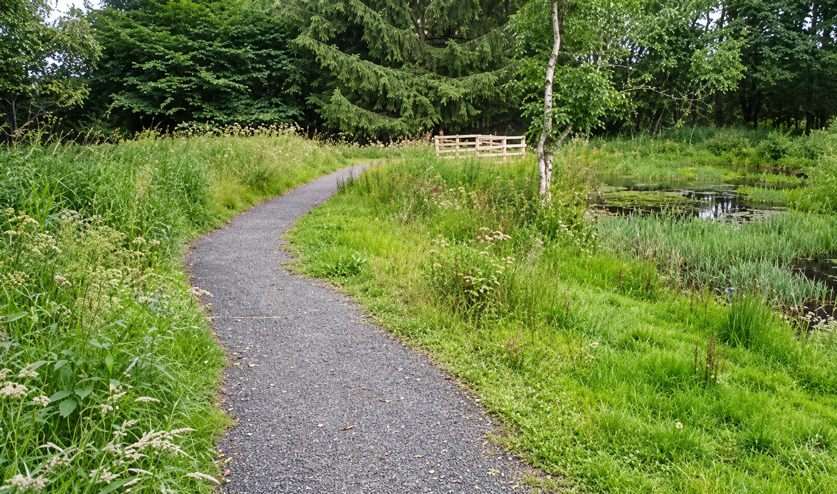 The surfaced Blue Route path beside the pond at Polkemmet Country Park